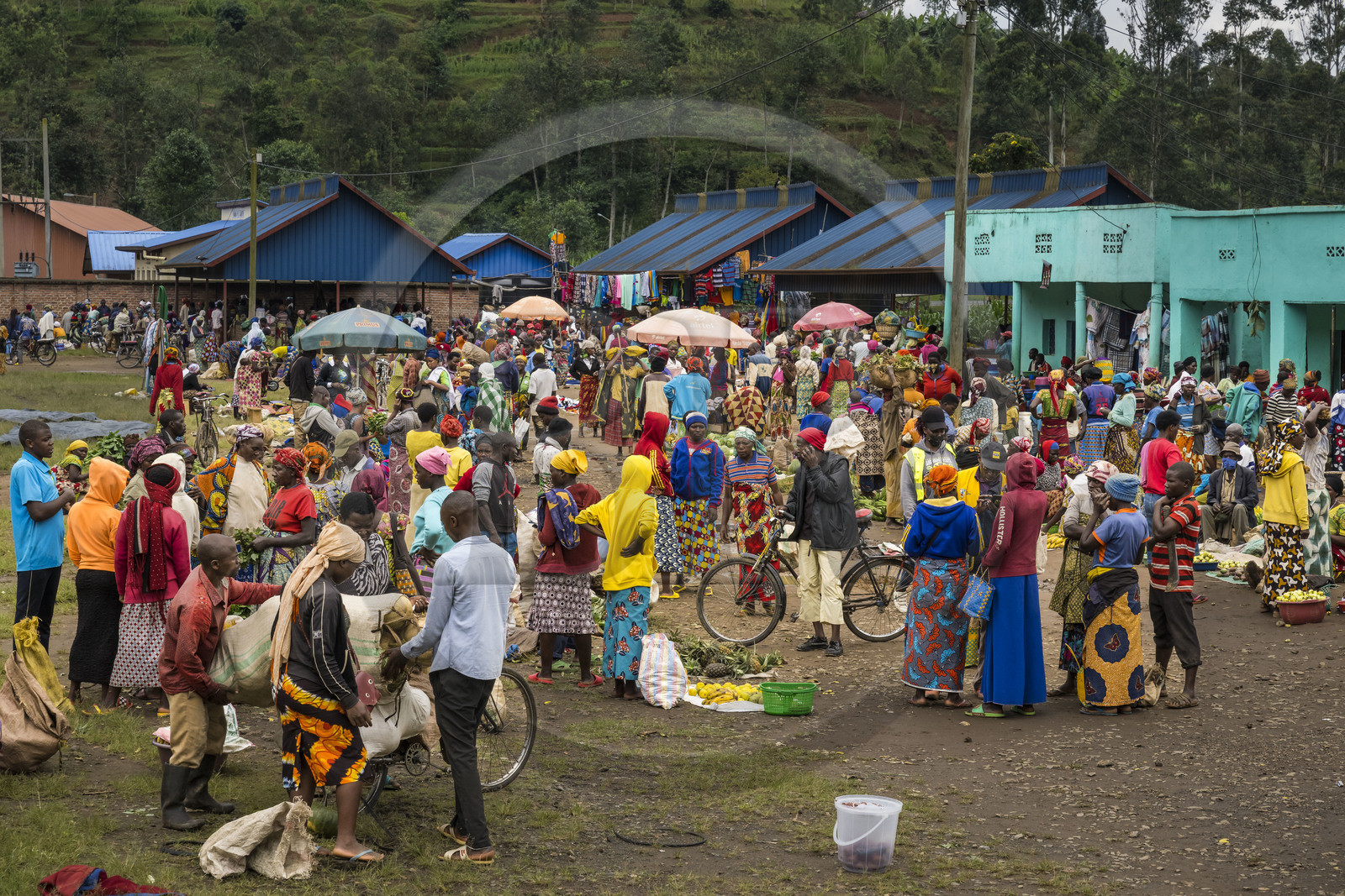 Rwanda, Province du Nord, District de Musanze (Ruhengeri), jour de marché à Muryabazira sur la Route Nationale 4 entre Kigali et Ruhengori, transport de gros sacs sur une bicyclette, les bicyclettes sont le principal moyen de transport local