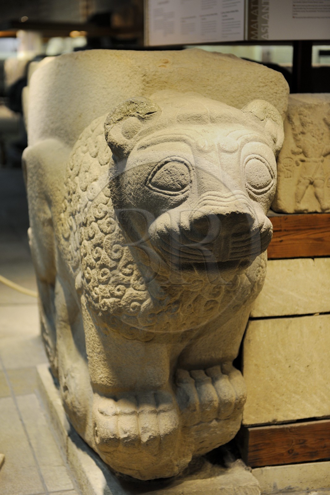 Turquie, Anatolie centrale, Ankara, le musée des Civilisations Anatoliennes, hall de la sculpture hittite