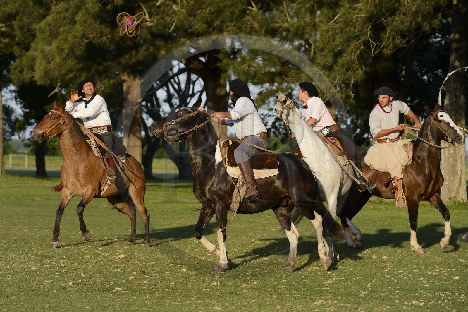 Argentine, province de Buenos Aires, San Antonio de Areco, estancia La Bamba de Areco, gauchos jouant au Pato (horse-ball) qui est un sport d’équipe équestre, mélange de rugby et de basket à cheval