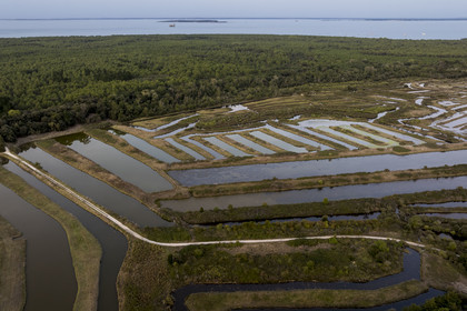 France, Charente-Maritime (17), Ile d'Oléron, Saint-Georges-d'Oléron, les anciens marais salants qui servent aujourd'hui de zone d'affinage des huitres, les claires, et d'élevage de crevettes (vue aérienne)