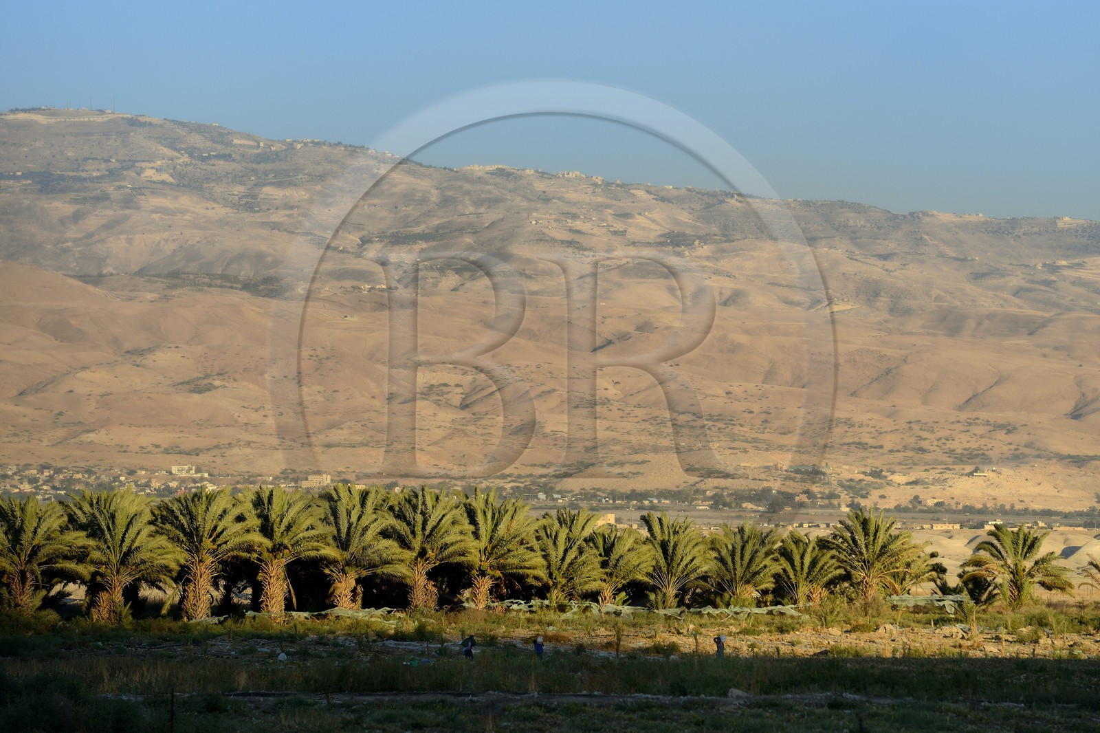 Israel, district Nord, Basse Galilée, la vallée du Jourdain et les montagne de Jordanie en arrière plan