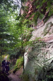 France, Bas-Rhin (67), Parc Naturel régional des Vosges du Nord, La Petite Pierre, rrandonneurs sur le sentier des Trois Roches en dessous du Rocher Blanc