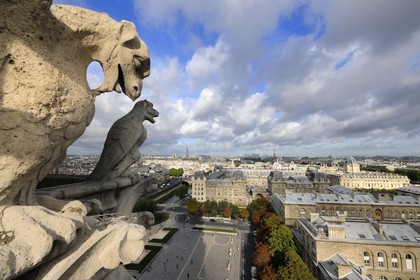 France, Paris (75), île de la Cité, la cathédrale Notre-Dame, les chimères observent la ville