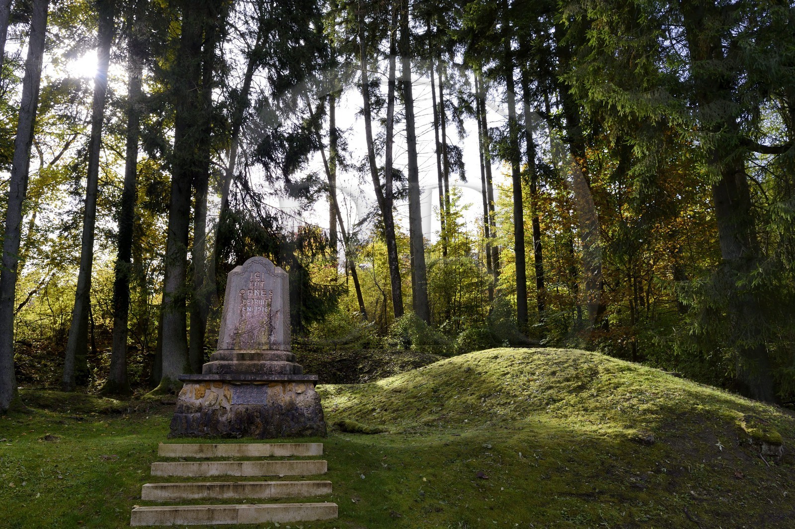 France, Meuse (55), région de Verdun, bataille de Verdun, le village d'Ornes classé comme « mort pour la France » fait partie des villages français détruits durant la Première Guerre mondiale, la stèle