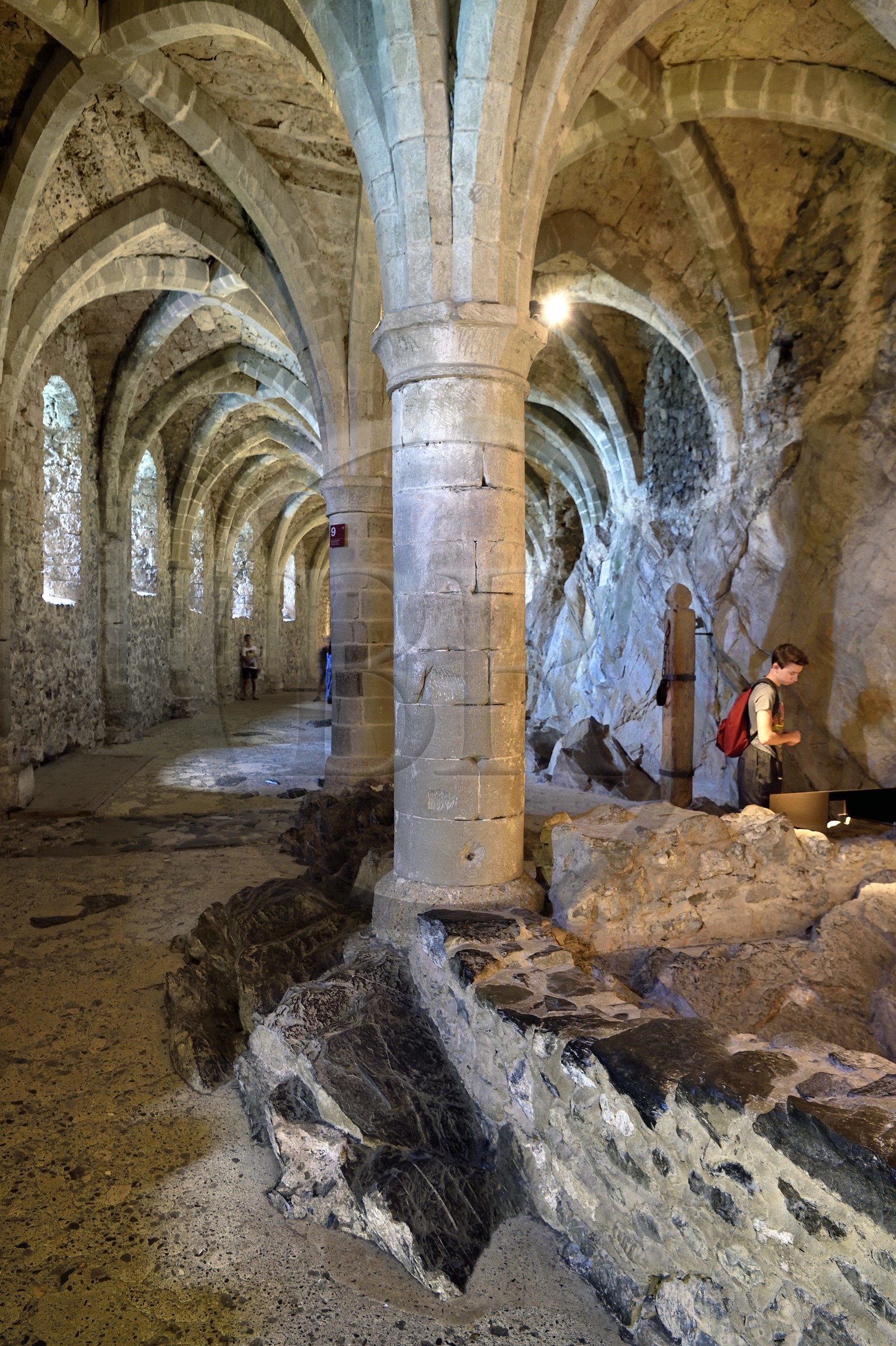Switzerland, Canton of Vaud, Veytaux, Chillon castle on the shores of Lake Geneva (Lac Leman), the castle undergrounds supported by Gothic vaults and in which the rock is visible were used as a prison and then as a storage place