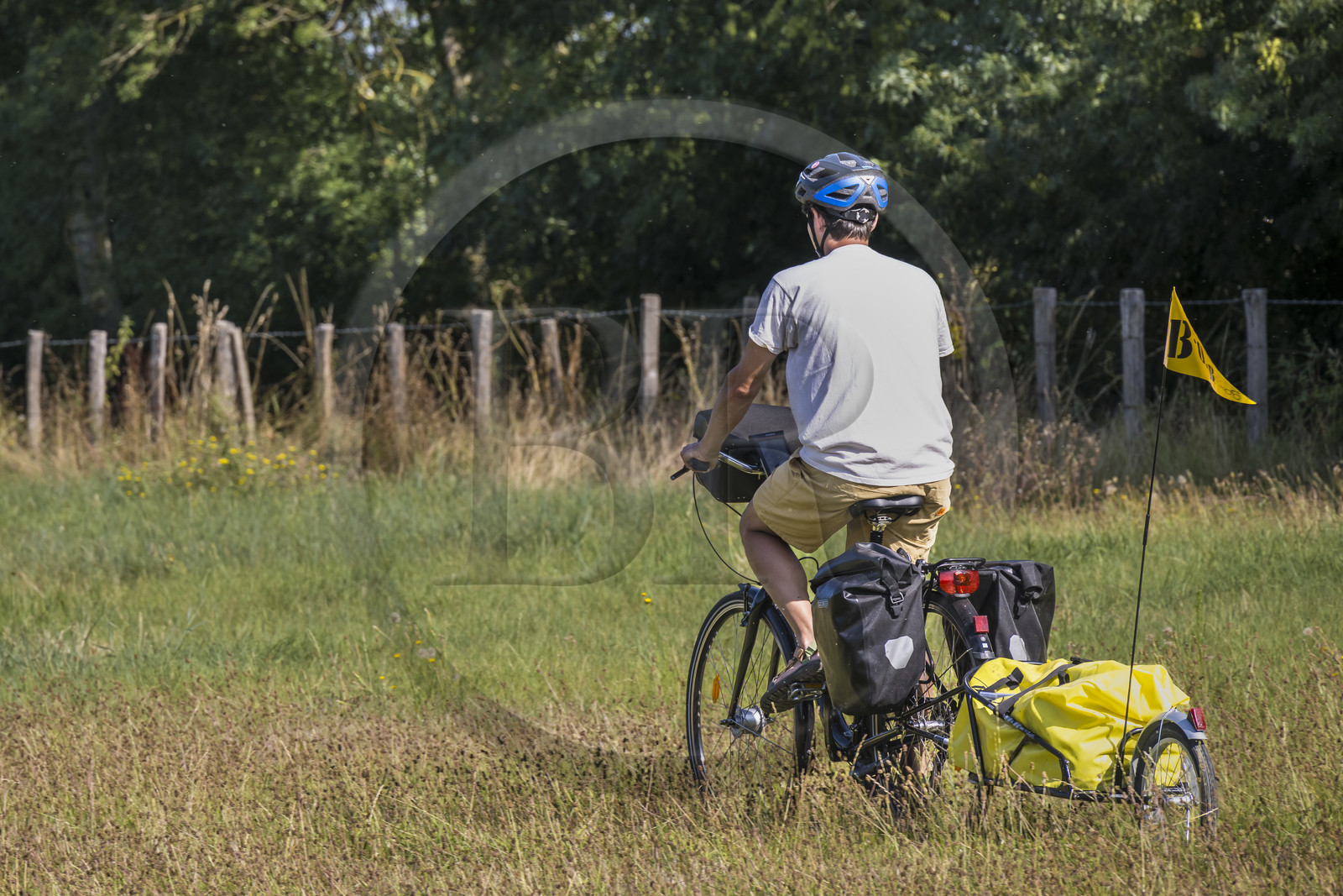 France, Maine-et-Loire, Loire valley listed as World Heritage by UNESCO, Saumur towards Saint-Hilaire, cycling on the banks of the Loire, bike with a trailer carrying camping equipment