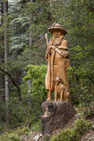France, Vaucluse (84), Parc Naturel Régional du Mont Ventoux, Bedoin, ascension à vélo du Mont Ventoux par la route D974 sur le versant sud, sculpture dans un tronc de cedre du Berger et son Chien (2023) par le sculpteur Jacques Marcy