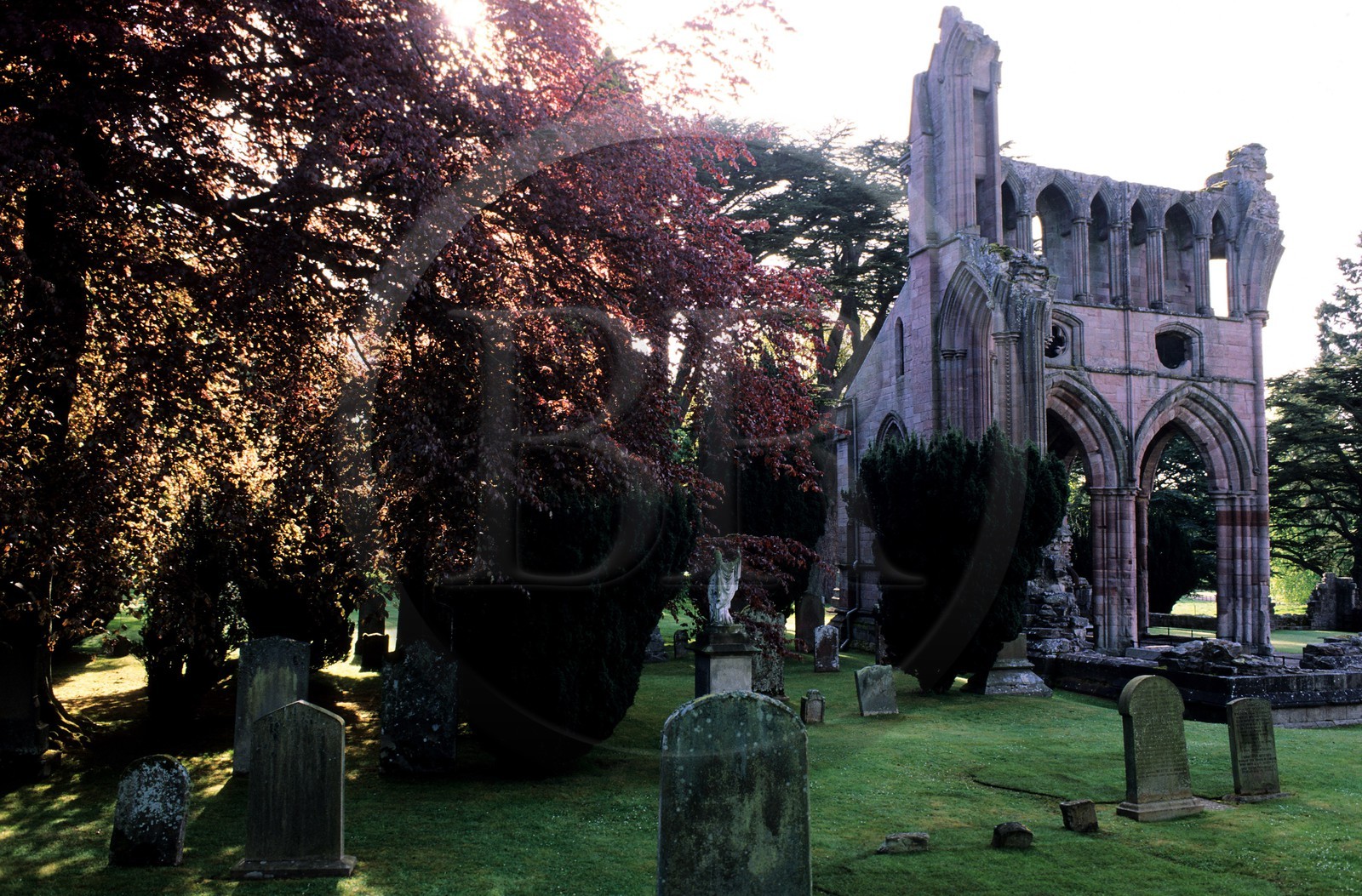 Royaume-Uni, Ecosse, région des Borders, abbaye de Dryburgh où est enterré Sir Walter Scott