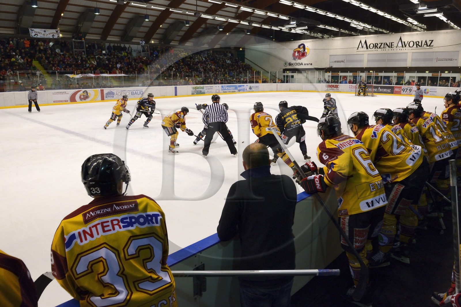 France, Haute Savoie, Morzine, ice hockey game from the Morzine-Avoriaz Hockey Club called the Penguins
