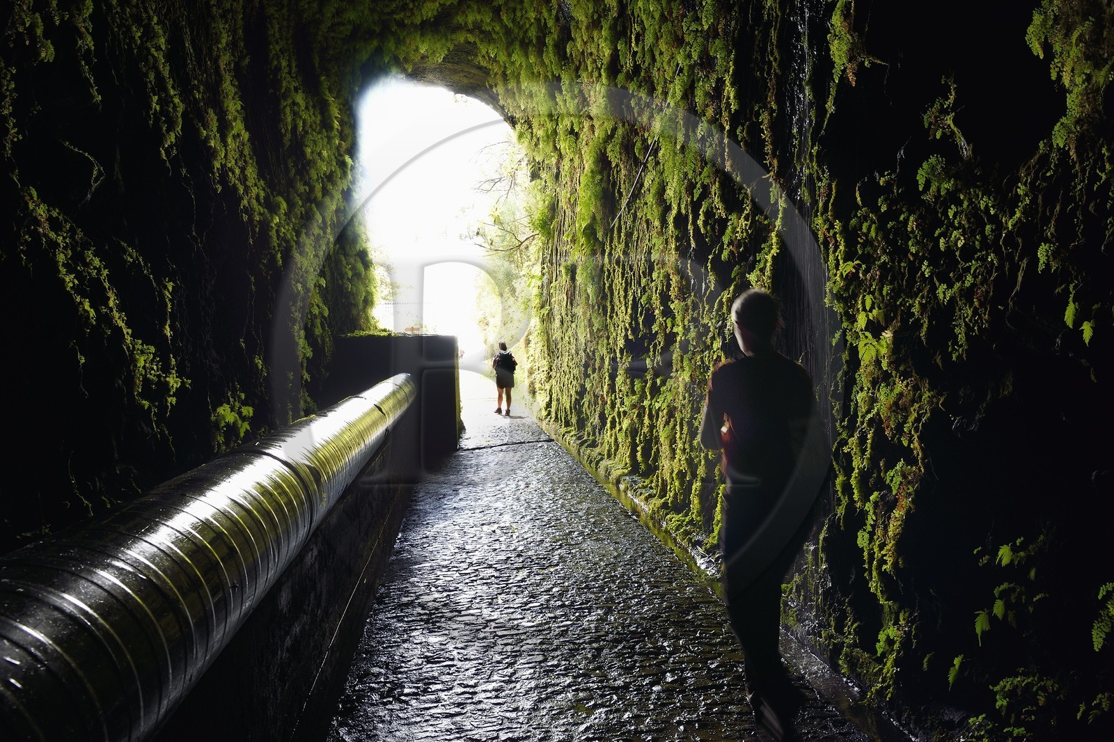 Portugal, Ile de Madère, randonnée dans La forêt de Rabaçal, tunnel de connexion à la vallée de Calheta par la Levada da Rocha Vermelha