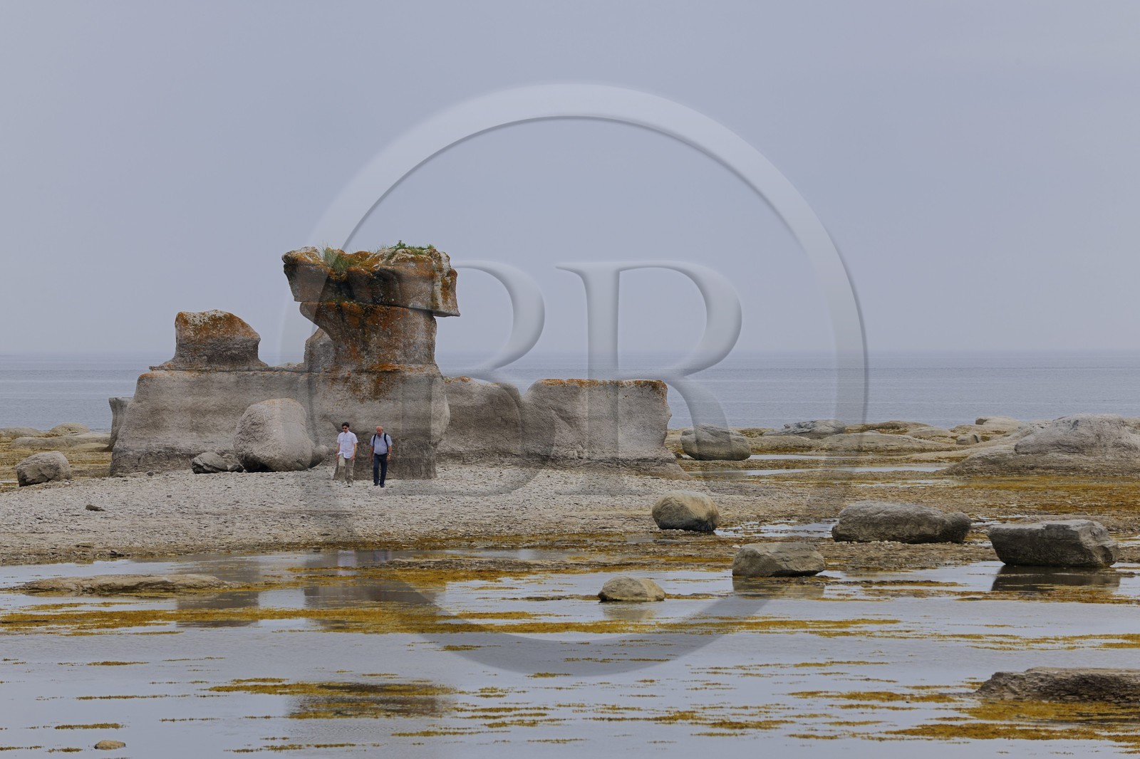 Canada, Quebec Province, North Coast, Havre Saint Pierre, Mingan Archipelago National Park in the Gulf of St Lawrence, limestone monoliths nicknamed flowerpots