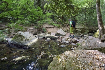 France, Var (83), entre Bagnols-en-Forêt et Roquebrune-sur-Argens, randonnée dans les Gorges du Blavet, traversée du Blavet