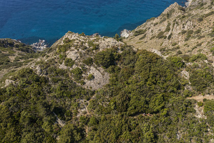 France, Var (83), Six-Fours-les-Plages, randonnée dans le massif du Cap Sicié, randonneurs sur le sentier des cretes de Roumagnan (vue aérienne)