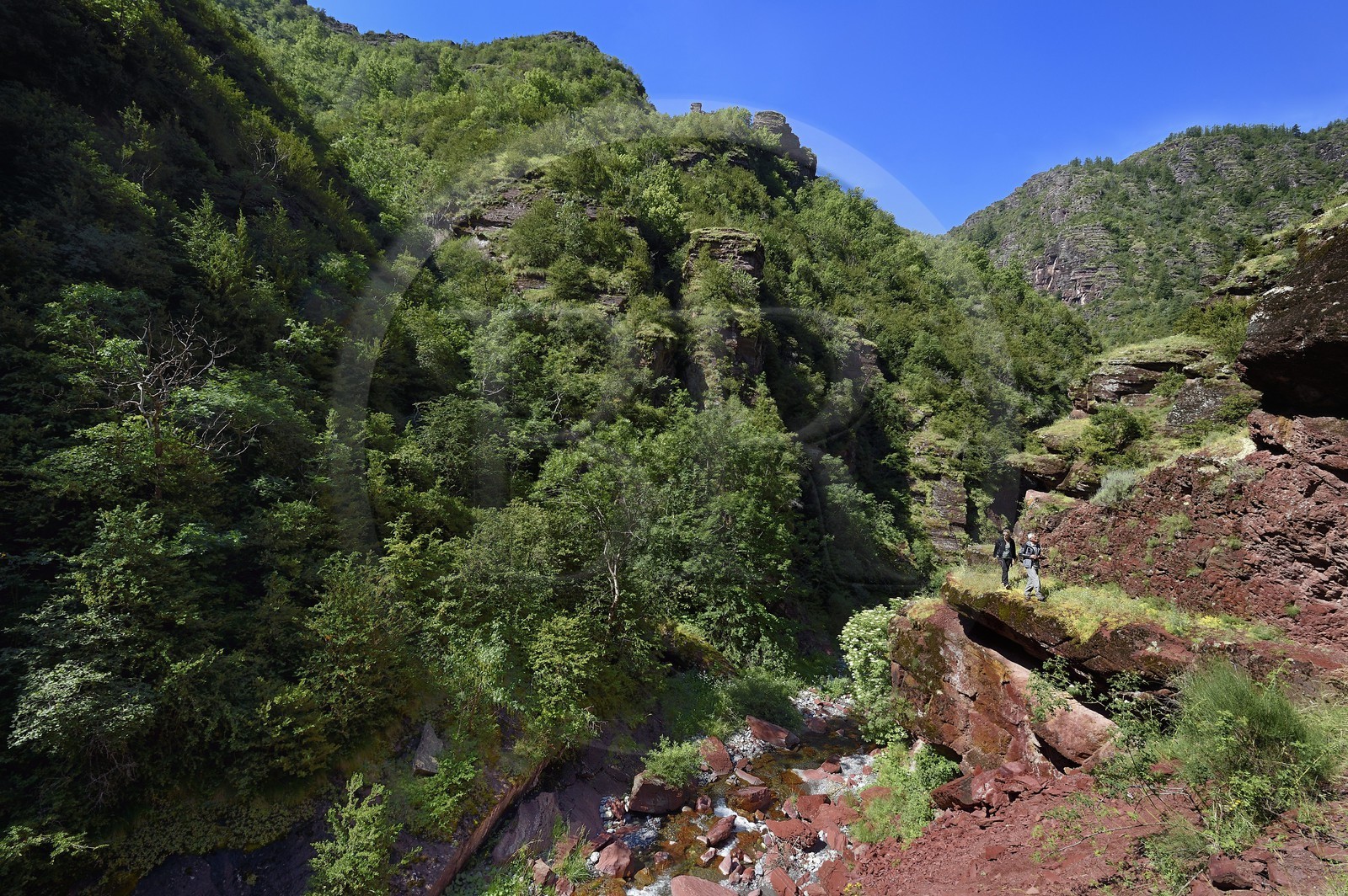 France, Alpes-Maritimes (06), Massif du Mercantour, site natura 2000, Gorges du Cians creusées par le Cians dans des sols de pélite rouge, ancien chemin muletier