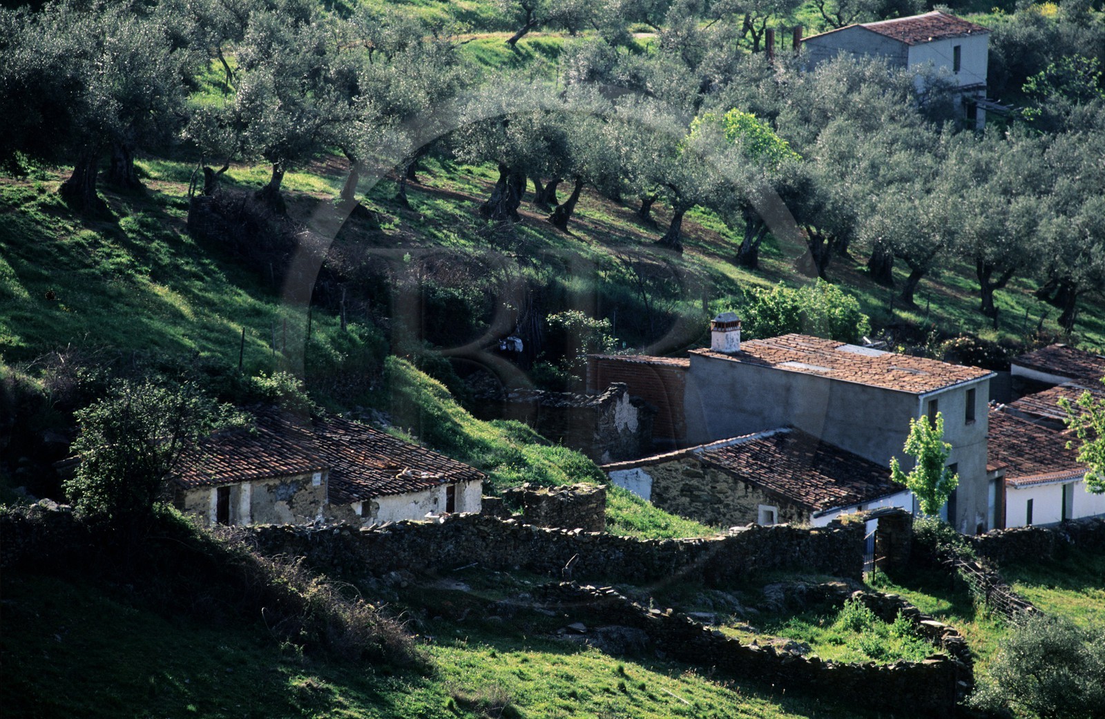 Spain, Estremadura, Guadalupe