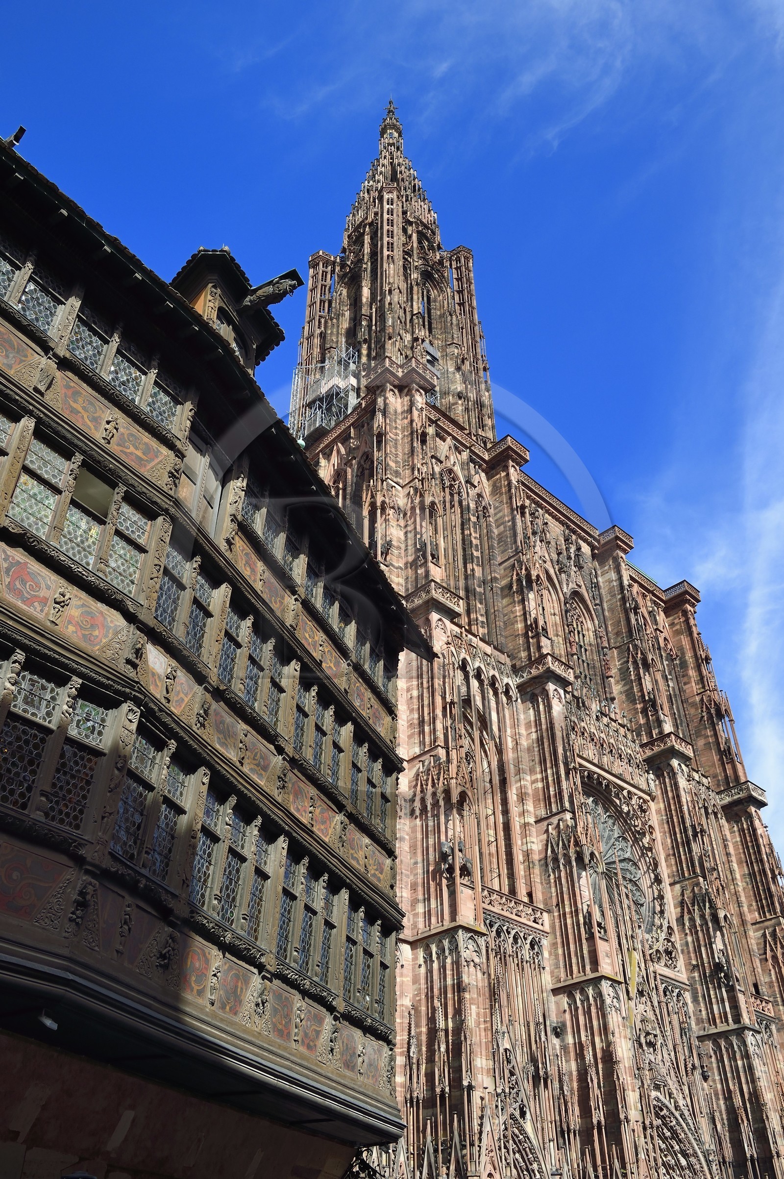 France, Bas-Rhin (67), Strasbourg, vieille ville classée au Patrimoine Mondial de l'UNESCO, la Maison Kammerzell et la cathédrale Notre-Dame