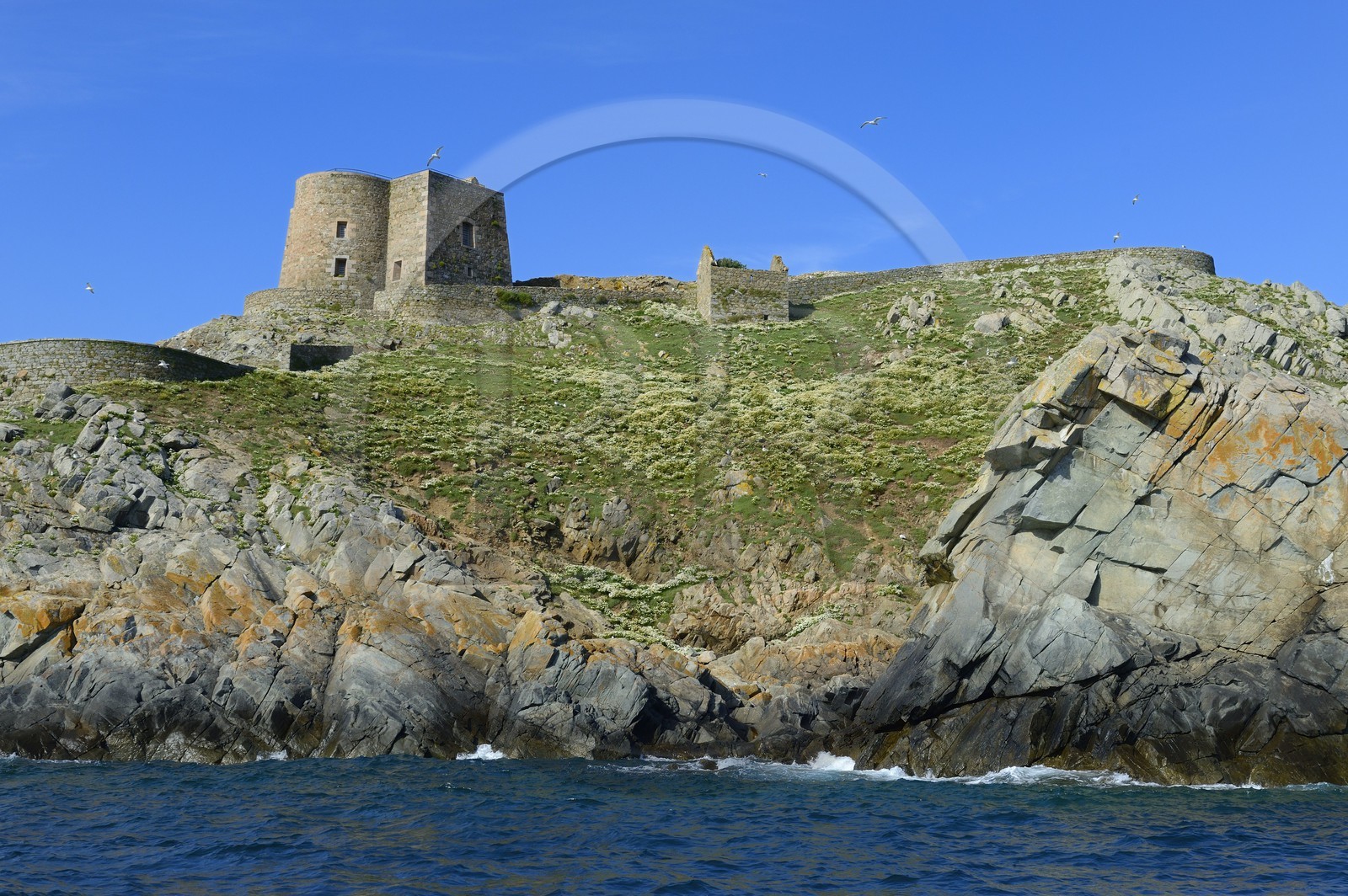 France, Côtes-d'Armor (22), Perros-Guirec, archipel et réserve ornithologique de Sept-Iles, Ile aux Moines, ancien fort
