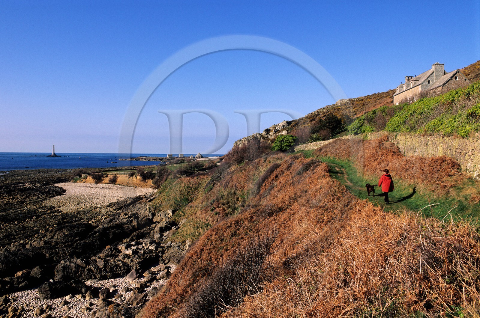 France, Manche (50), Cotentin, Cap de la Hague, marcheurs sur le sentier GR 223 vers le port de Goury