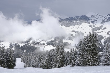 Suisse, Canton de Vaud, Domaine skiable de Villars sur Ollon - Gryon