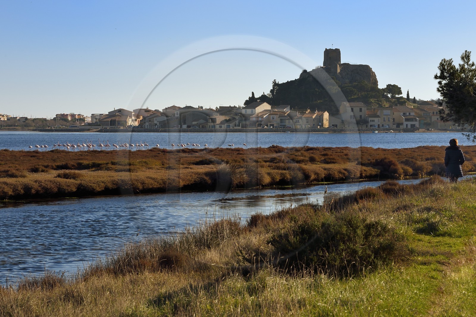 France, Aude (11), Narbonne, les Corbières, Gruissan, le vieux village et son château, forteresse militaire médiévale pour la surveillance côtière dominée par la tour Barberousse du XIIIe siècle
