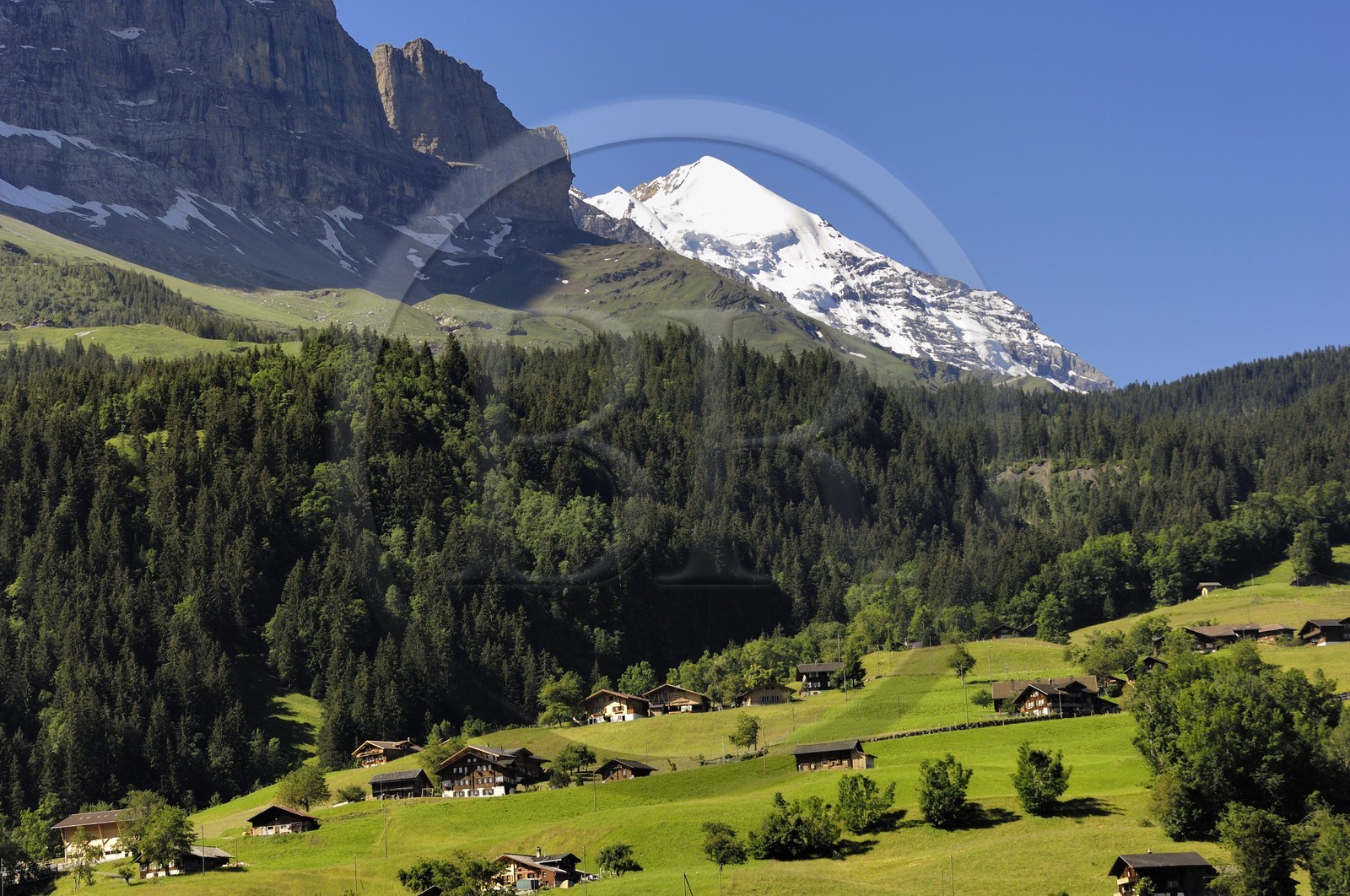 Suisse, Canton de Berne, Oberland Bernois, village de Grindelwald