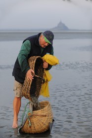 France, Manche, Bay of Mont Saint Michel, listed as World Heritage by UNESCO, Beach fisherman Guy Jugan lifting his nets full of Crangon crangon (grey shrimp) shrimps at dawn