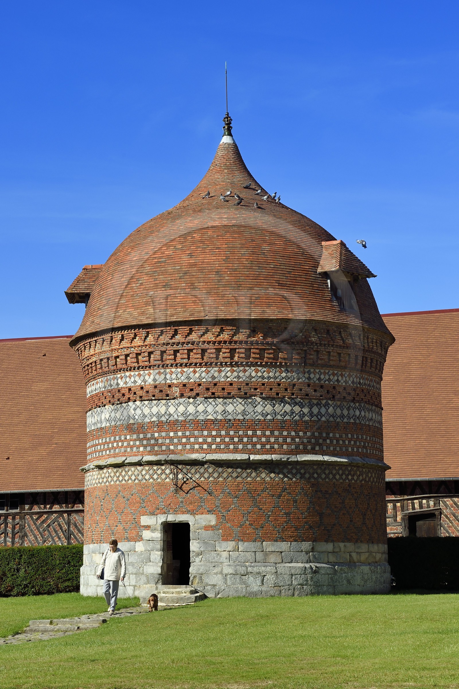 France, Seine-Maritime (76), Côte d'Albatre, Pays de Caux, Varengeville-sur-Mer, le Manoir d'Ango, le colombier