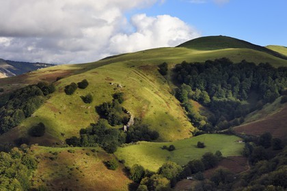 France, Pyrenees Atlantiques, Basque Country, Aldudes valley, Urepel, Spanish border and boundary of the Quinto Real (Kintoa)