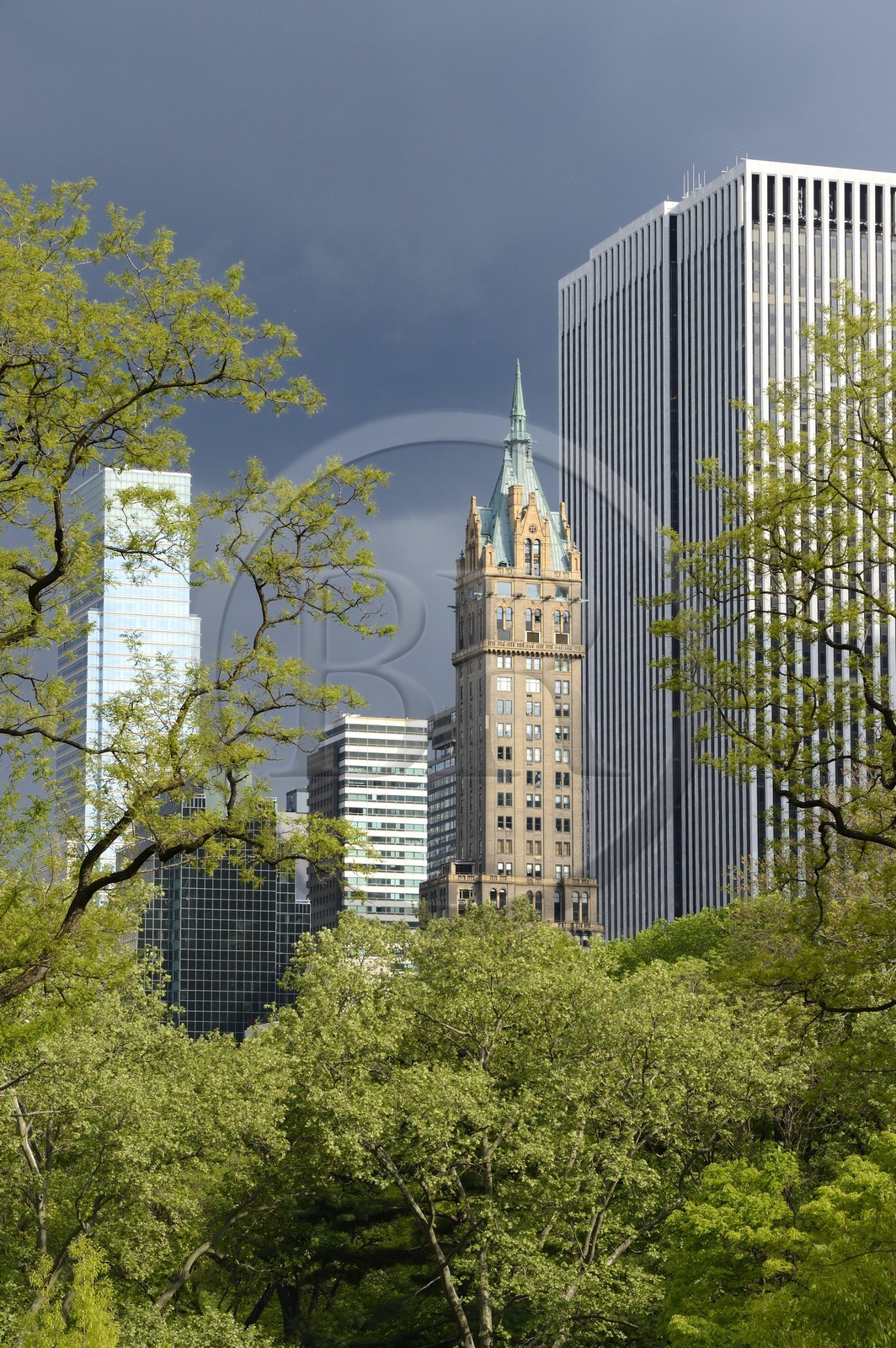 Etats-Unis, New York, Manhattan, Central Park, immeubles sur Central Park Sud