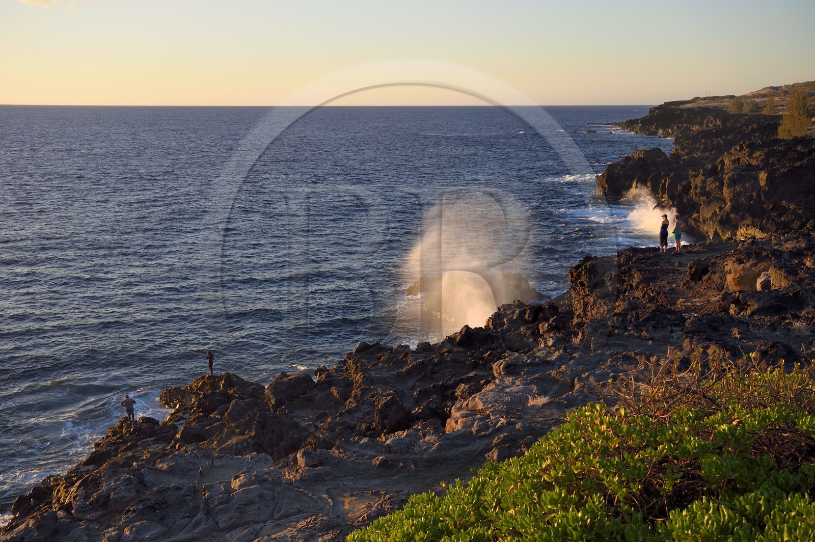France, Ile de la Reunion, Saint-Leu, Le Souffleur vers la Pointe au Sel