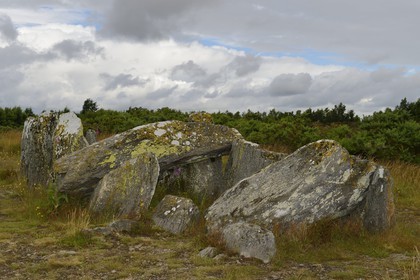 France, Ille-et-Vilaine (35), Saint-Just, monuments mégalithiques de la Lande de Cojoux, dolmen, sépulture à entrée latérale du Four Sarrazin