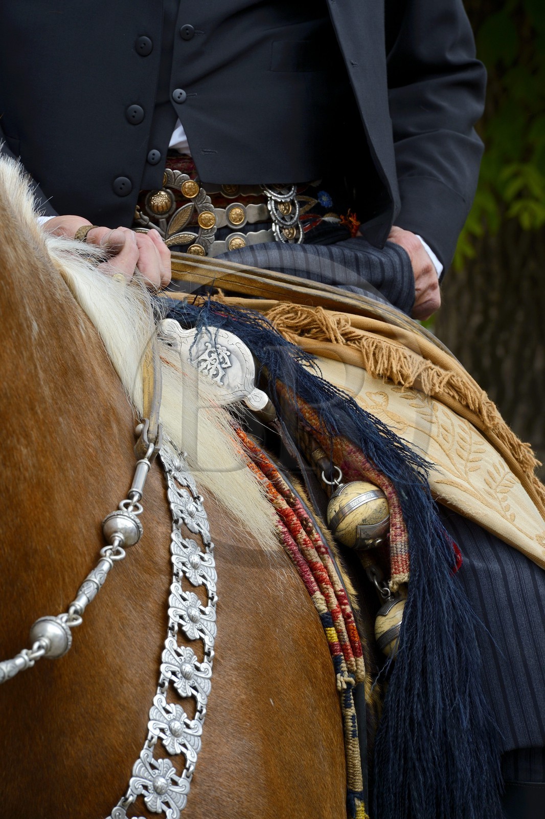 Argentine, province de Buenos Aires, San Antonio de Areco, fête du Jour de la Tradition (Dia de la Tradicion), détail de la sellerie et les bolas (ou boleadoras) accrochés à la selle