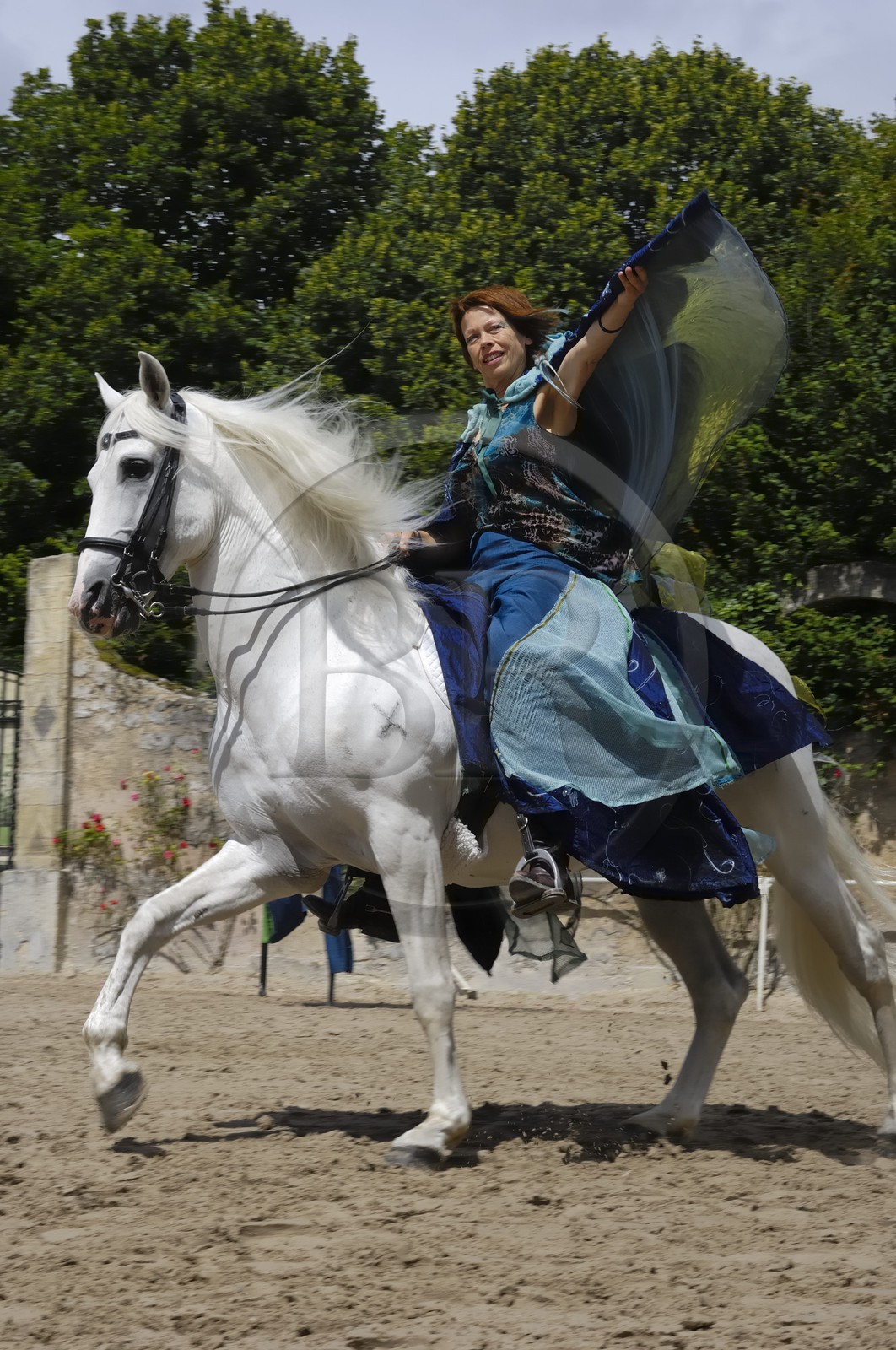 France, Loir et Cher (41), château de Chambord, spectacle d' Art équestre