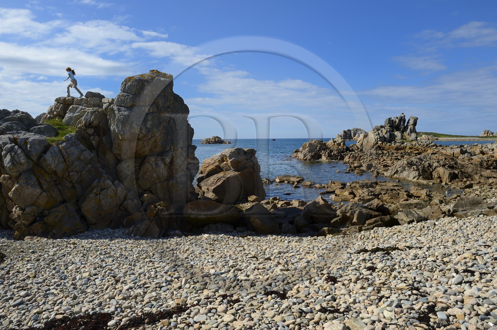 France, Côtes-d'Armor (22), Côte d'Ajoncs, Plougrescant, Anse de Pors Scaff