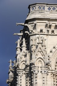 France, Paris (75), île de la Cité, la cathédrale Notre-Dame, les gargouilles et les chimères observent la ville