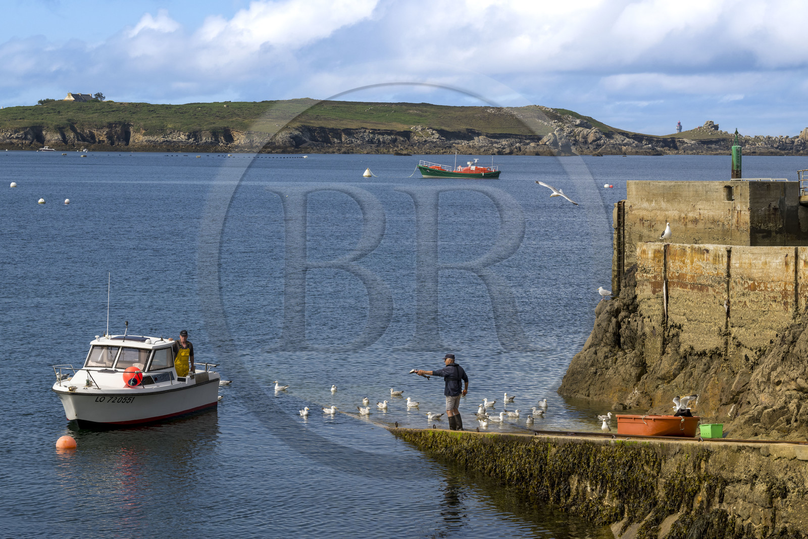 France, Finistère (29), Mer d'Iroise, Ile d'Ouessant, le port de Lampaul dans la baie de Lampaul,  la presqu'ile de Feunteun Velen en arrière plan