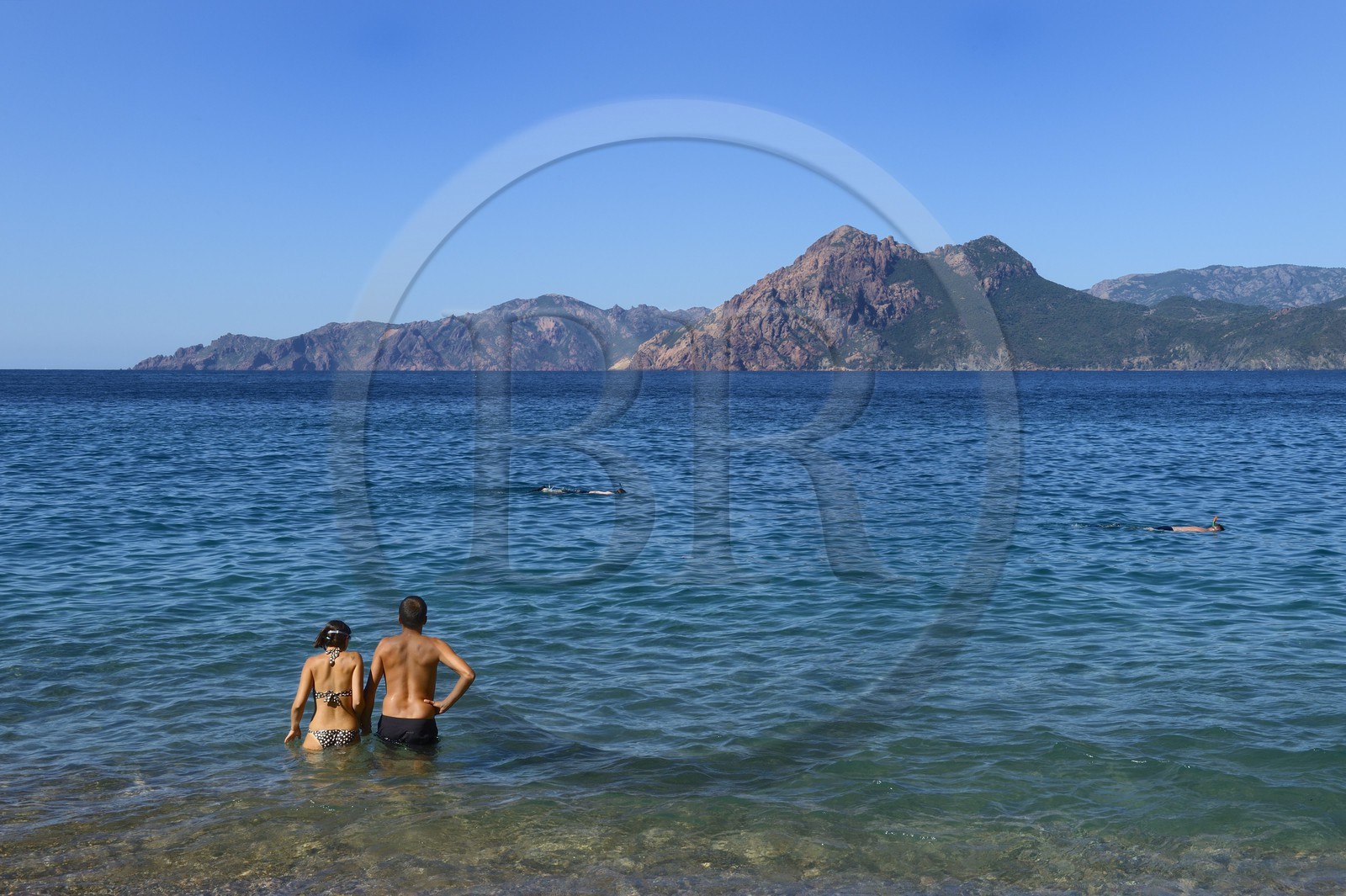 France, Corse-du-Sud (2A), Golfe de Porto, classé Patrimoine Mondial de l'UNESCO, Piana, anse et plage de Ficajola