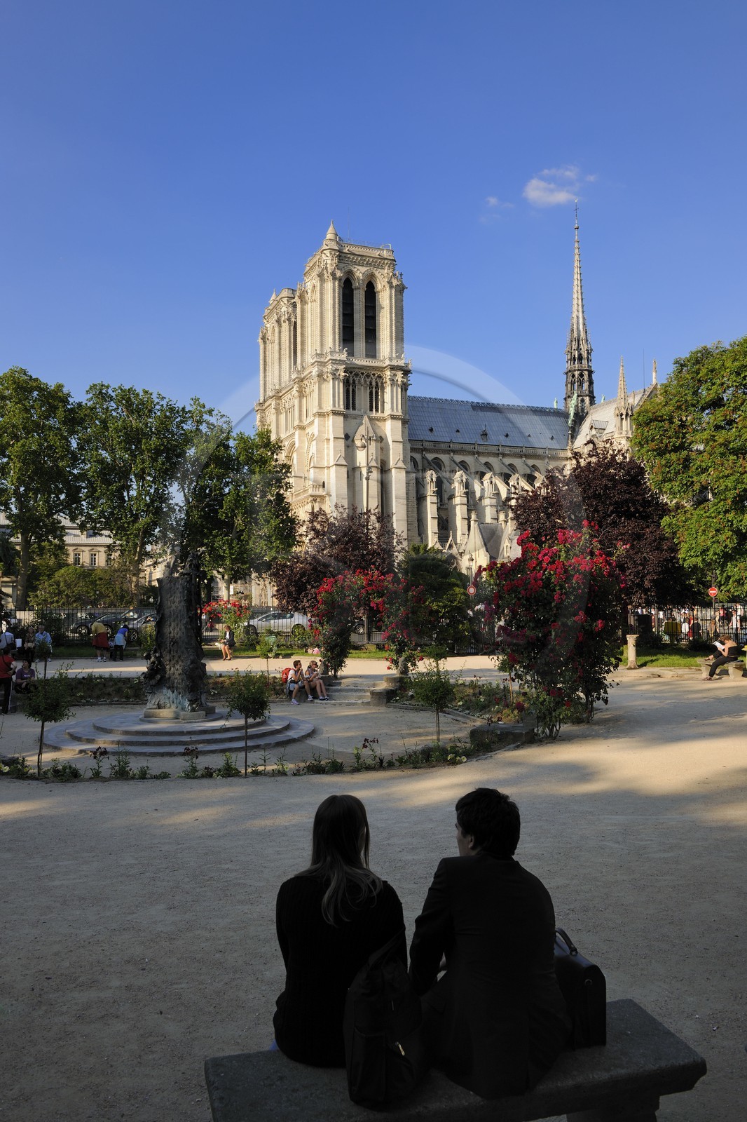 France, Paris (75), île de la Cité, la cathédrale Notre-Dame depuis le square René Viviani