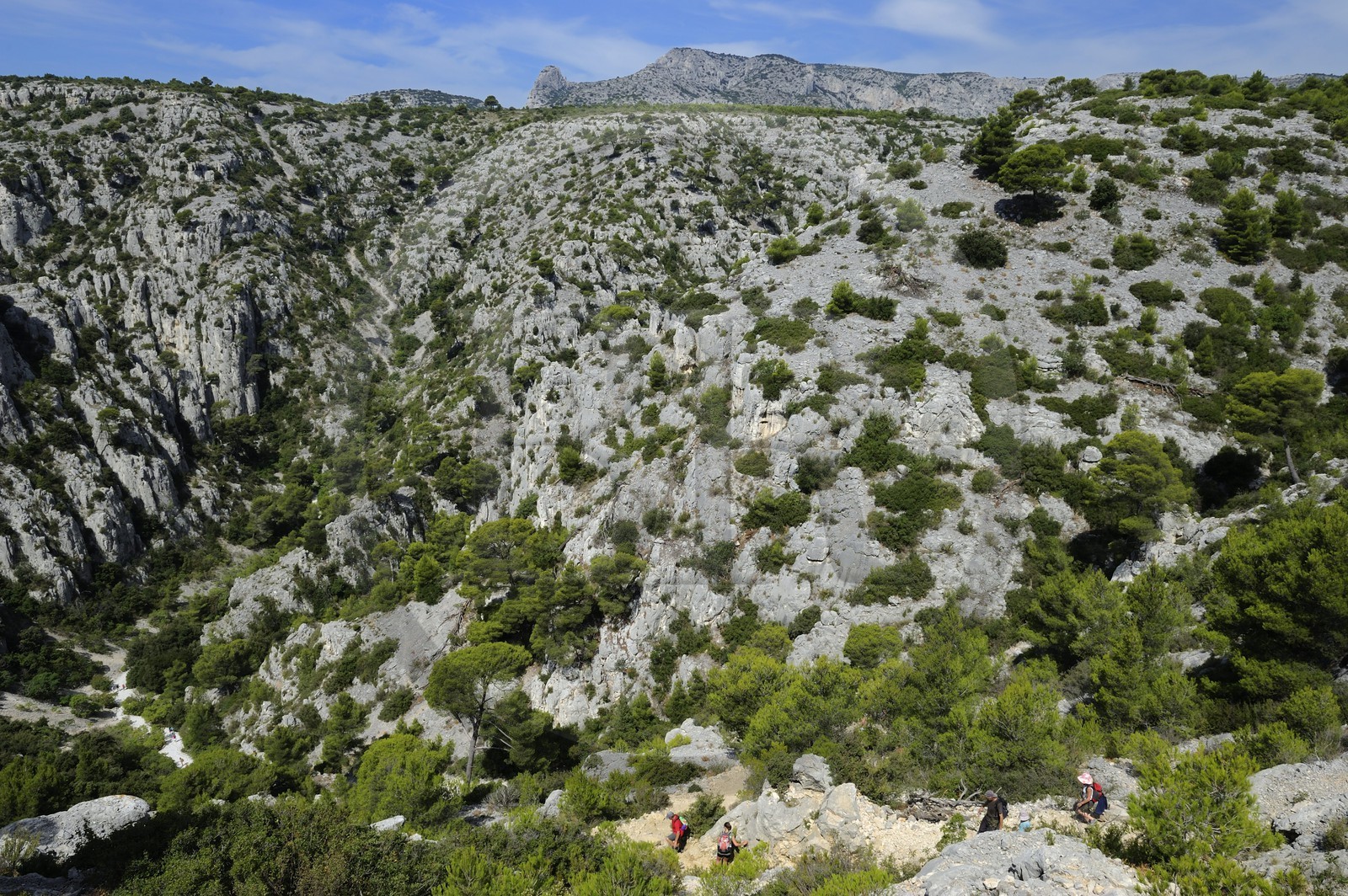 France, Bouches du Rhone, Cassis, the path leading to the En Vau creek (calanque)