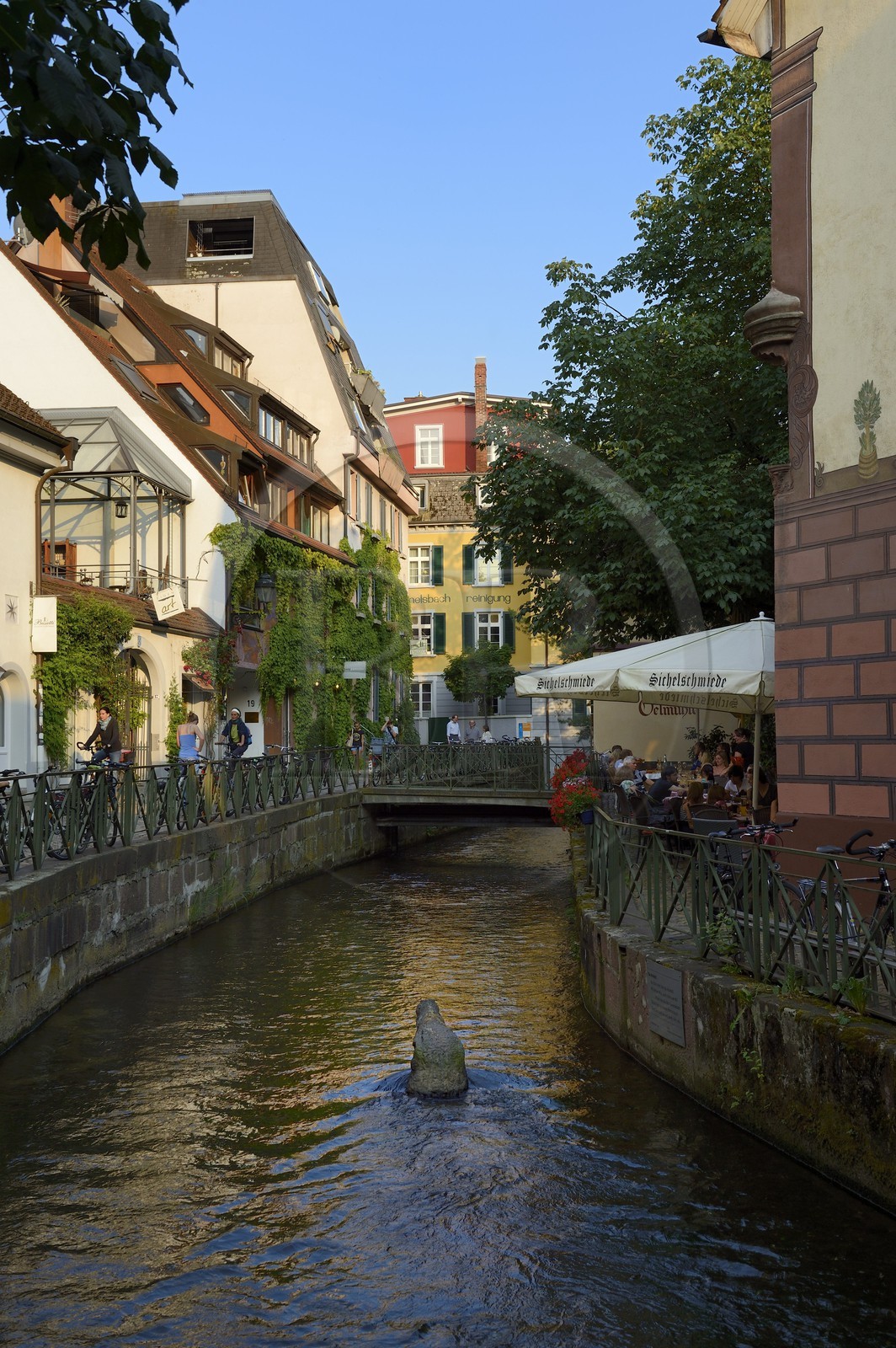 Allemagne, Bade-Wurtemberg, Fribourg en Brisgau, rue Gerberau dans le quartier faubourg des Escargots (Schnecken-vorstadt), la statue du crocodile dans les eaux du Gewerbekanal