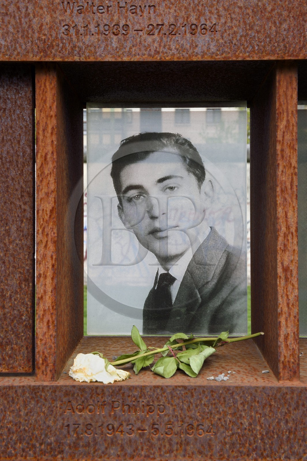 Allemagne, Berlin, Bernauer Strasse, Mémorial du Mur de Berlin (Gedenkstätte Berliner Mauer), das Fenster des Gedenkens (la fenêtre du Souvenir) où les victimes du Mur sont honorées avec leur nom et une photo-portrait