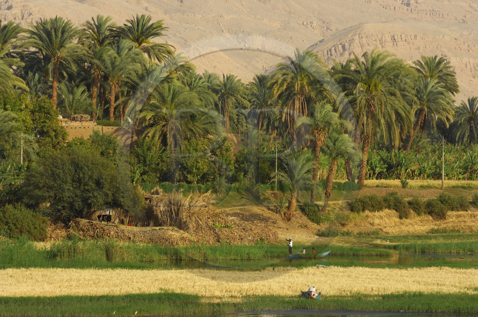 Egypt, Upper Egypt, Nile Valley, fishing barque on the Nile river between Luxor and Esna
