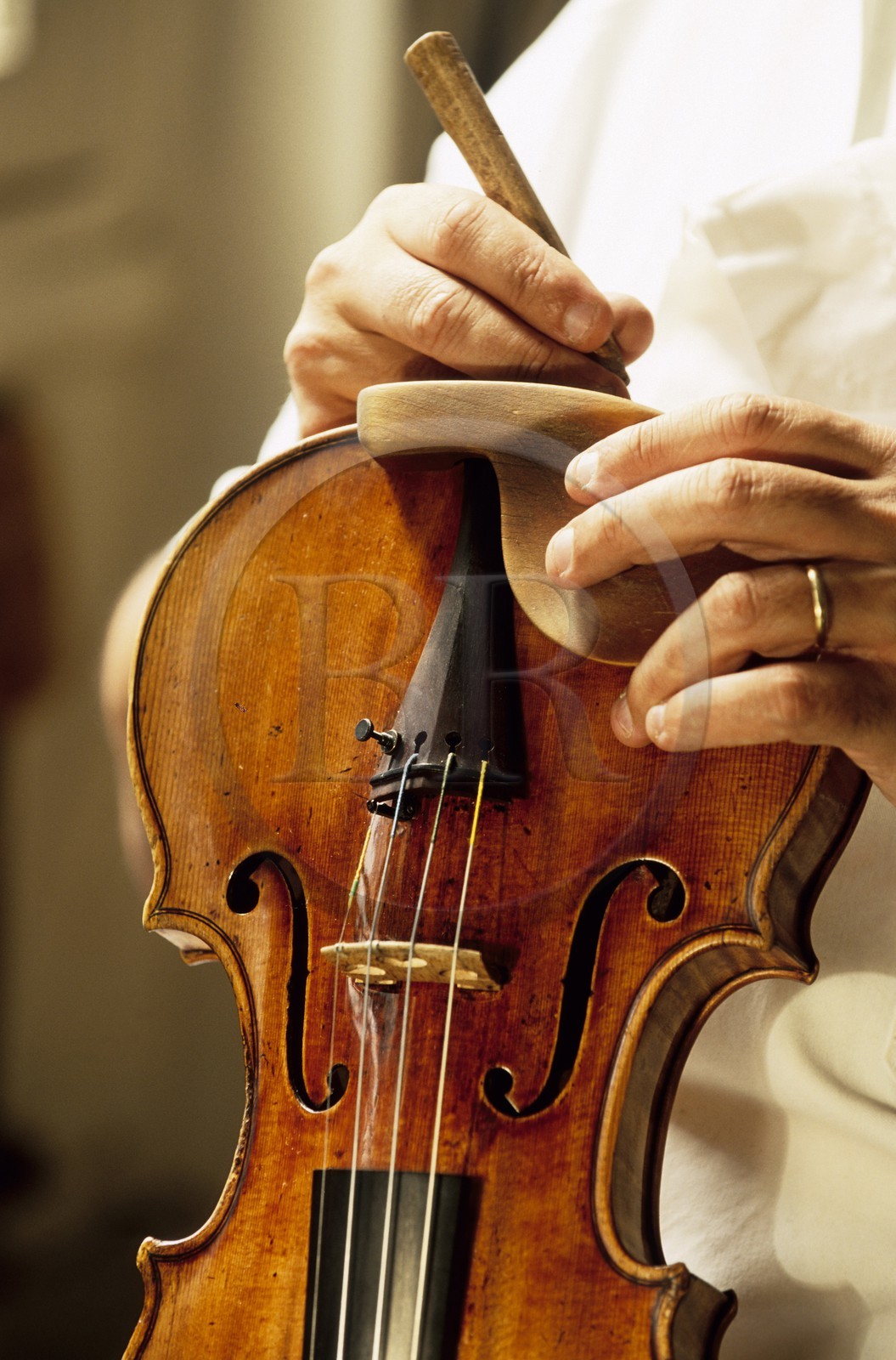 France, Paris, fabrication workshop of stringed instruments Watelot Rampal