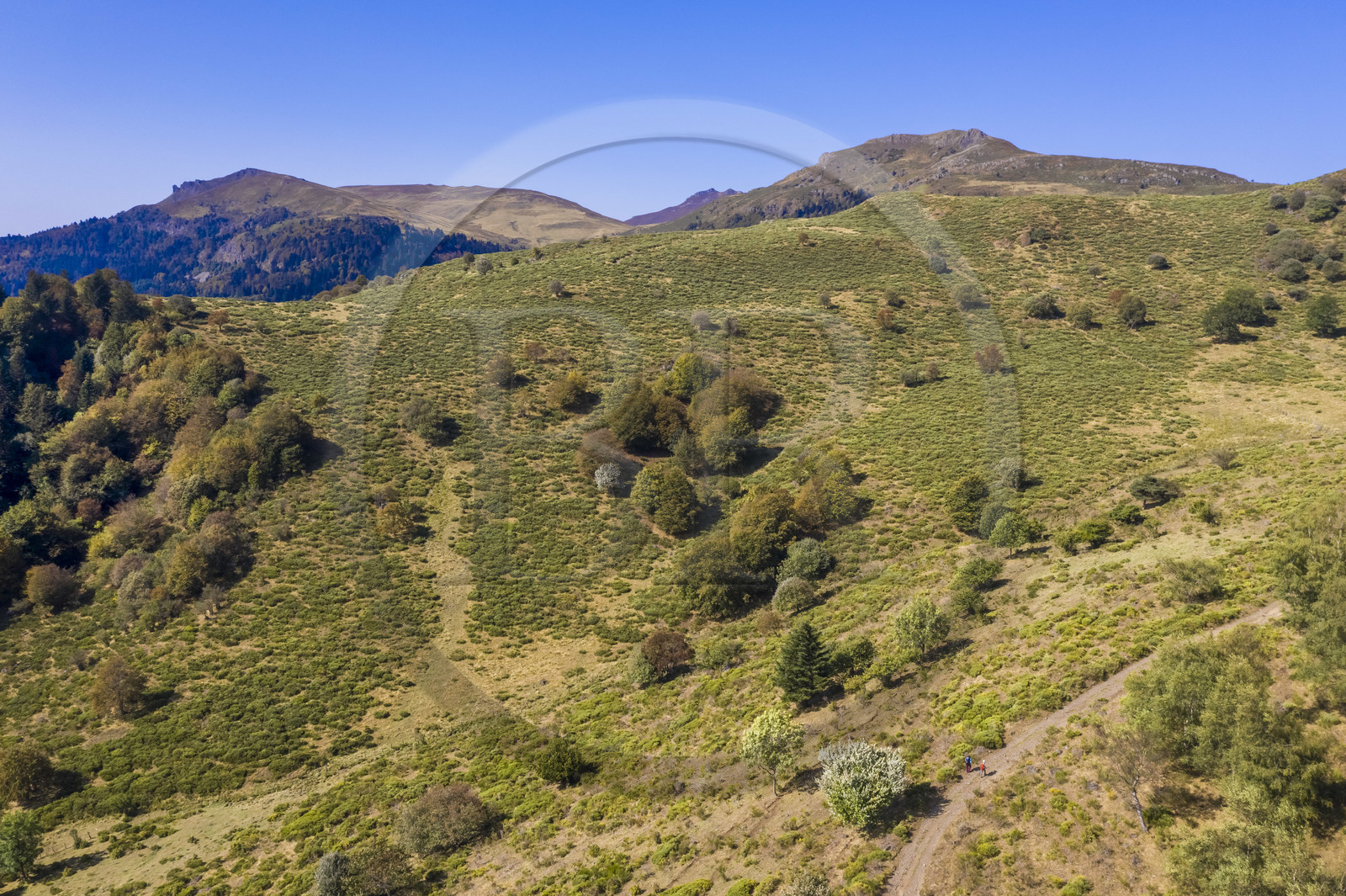 France, Cantal (15), Parc Naturel Régional des Volcans d'Auvergne, Laveissière, randonneurs sur le chemin de Saint-Jacques de Compostelle par la Via Arverna, le Rocher du Bec de l'Aigle à gauche, le Puy de Seycheuse à droite et le Puy Mary en arrière plan (vue aérienne)