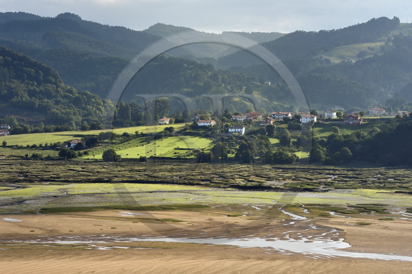 Espagne, Pays basque espagnol, Biscaye, région de Gernika-Lumo, Réserve de biosphère d'Urdaibai, estuaire du fleuve Oka à marée basse au sud de Mundaka