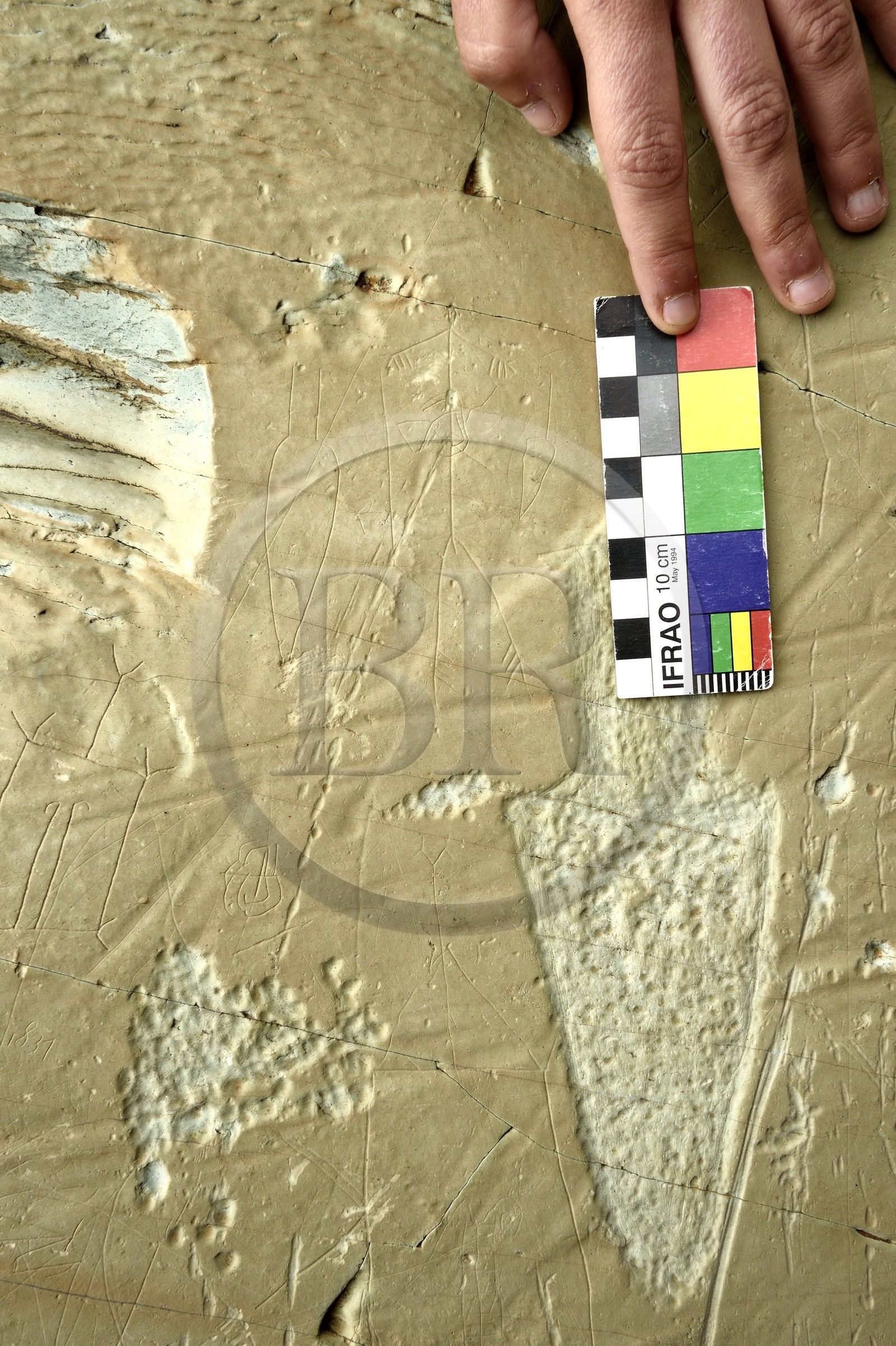 France, Alpes-Maritimes (06), parc national du Mercantour, Vallée des Merveilles parsemée de milliers de gravures rupestres de l'Age de bronze, dalles de schiste jaune des chiappes, gravures linéaire d'un homme avec un poignard à gauche et une pointe de lance à droite, gravure piquetée d'un poignard en bas