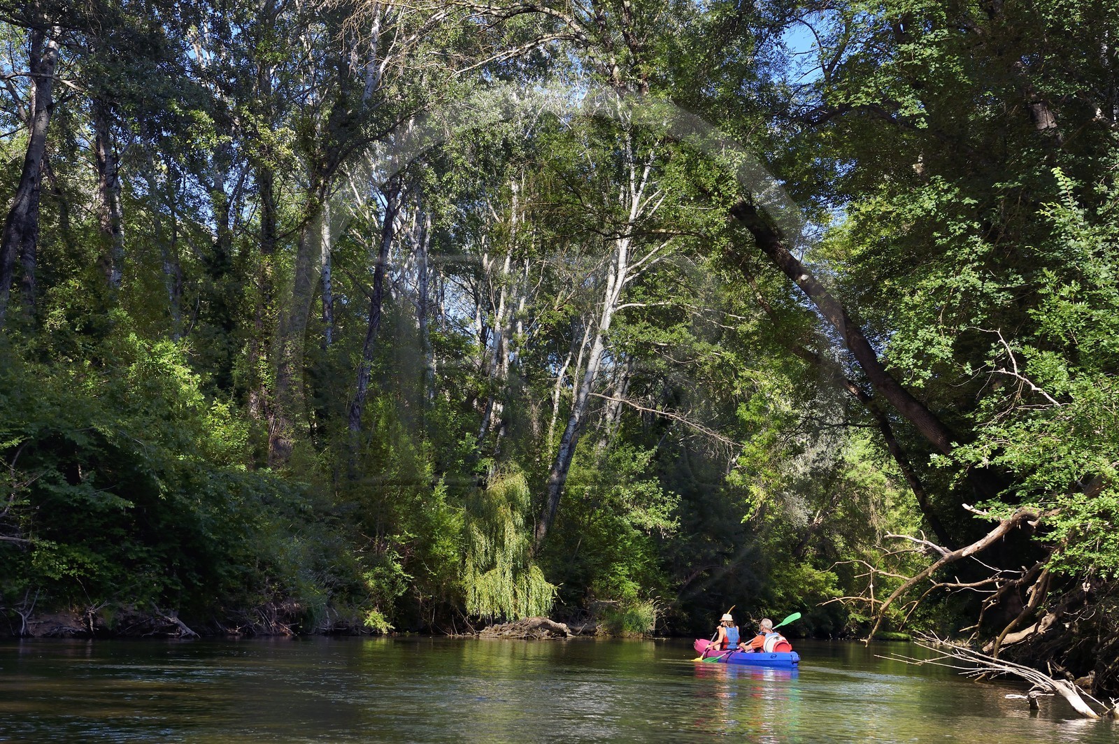 France, Var, Provence Verte, canoeing on the river Argens between Carces and Le Thoronet