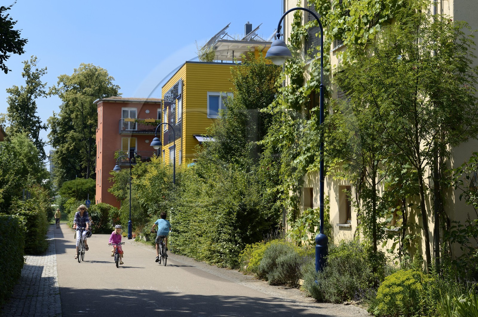 Allemagne, Bade-Wurtemberg, Fribourg en Brisgau, quartier écologique Vauban, la plupart de ses habitants vivent sans voiture