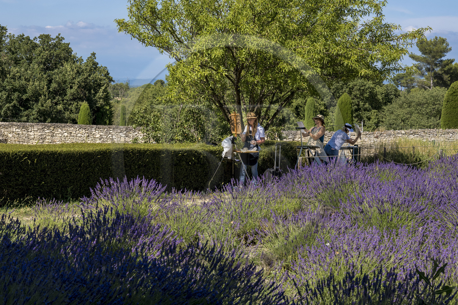 France, Bouches du Rhone, Regional Natural Park of the Alpilles, Saint Remy de Provence, Saint-Paul-de-Mausole monastery, where Van Gogh was interned in 1889-1890, amateur painters who set up their easels in the garden