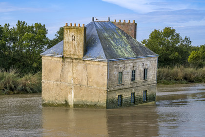 France, Loire-Atlantique (44), Couëron, collection d'art contemporain à ciel ouvert Estuaire, La Maison dans la Loire réalisé par l'artiste Jean-Luc Courcoult